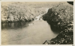 Image of Trout pool